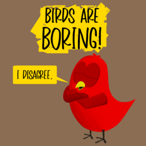 birds are boring v moua books sammy bird turkey