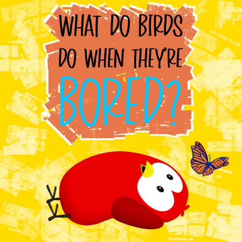 what do birds do when they're bored sammy bird v moua books