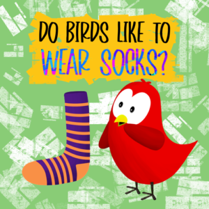 do birds like to wear socks v moua books sammy bird