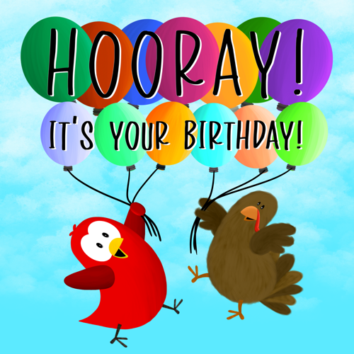 hooray its your birthday sammy bird v moua books