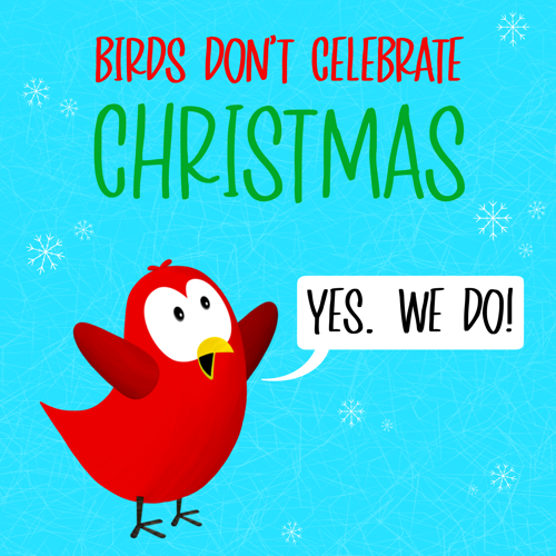 birds dont celebrate christmas yes we do v moua books sammy bird