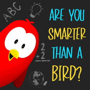 are you smarter than a bird sammy bird v moua books