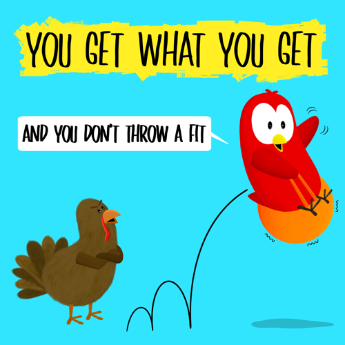 you get what you get and you don't throw a fit v moua books sammy bird