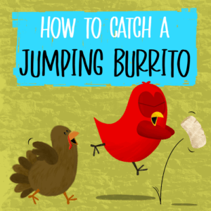 how to catch a jumping burrito sammy bird v moua books