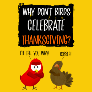 why don't birds celebrate thanksgiving sammy bird v moua books